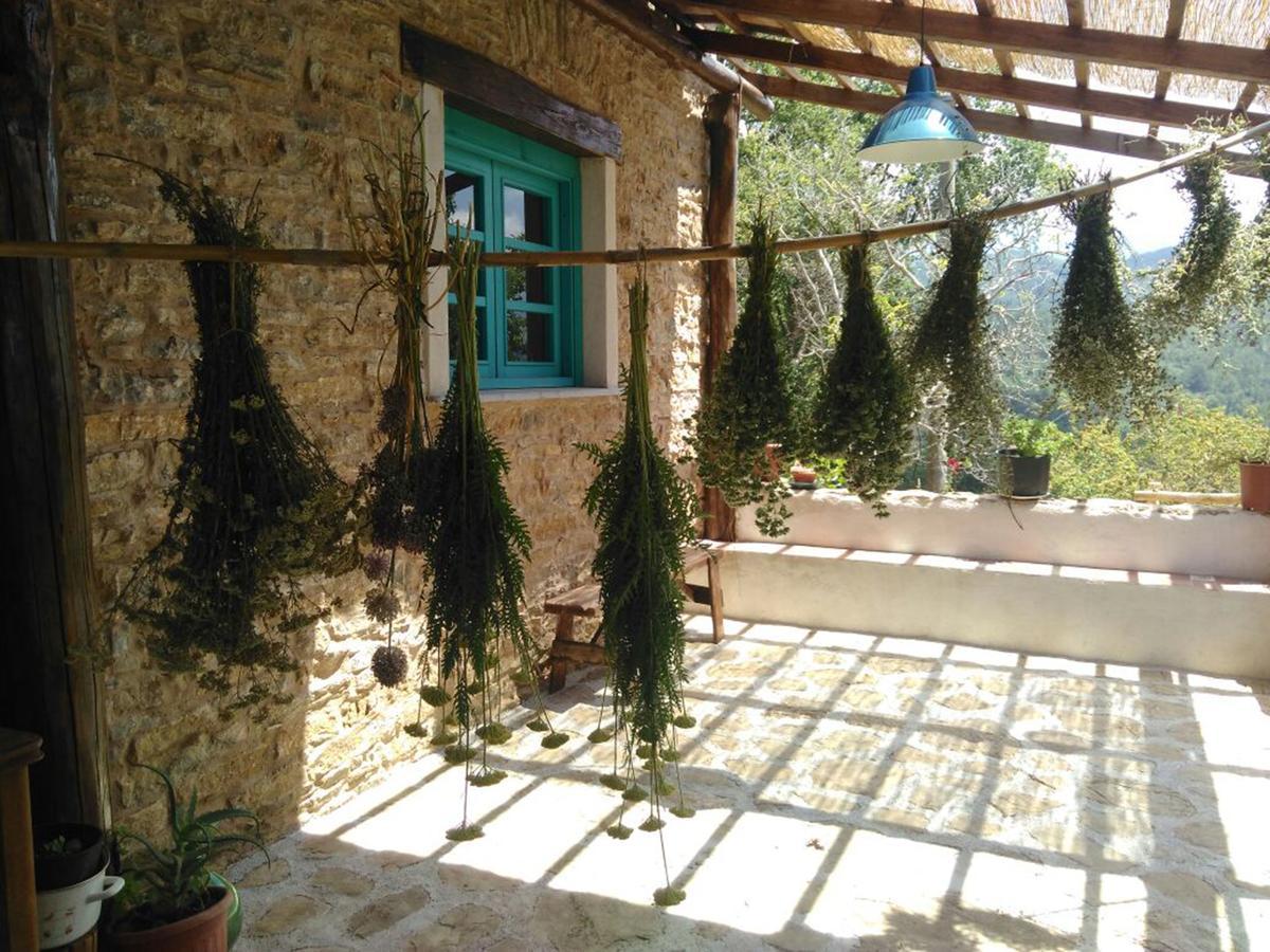 Bed and Breakfast Masseria Cata Catascia à Tortorella Extérieur photo